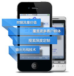 專(zhuān)業(yè)網(wǎng)站建設(shè)代理服務(wù) 手機(jī)網(wǎng)站與微信網(wǎng)站一站式解決方案