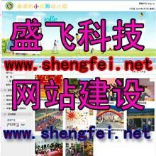 鄭州盛飛科技公司 專業(yè)網(wǎng)站建設(shè)，以視覺(jué)之美賦能品牌形象